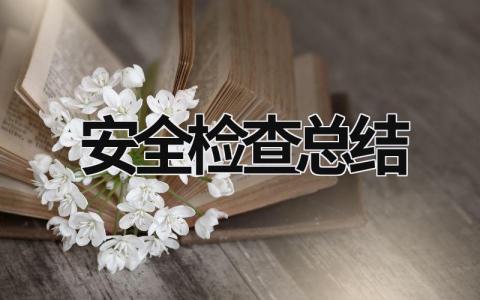 安全檢查總結 安全檢查總結簡短 (19篇）