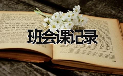 班會課記錄 班會課記錄內容 (17篇）