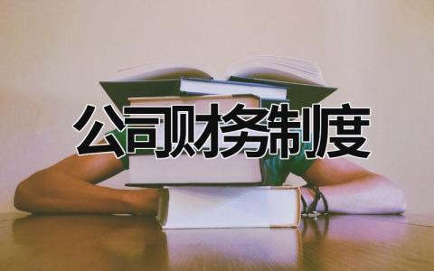 公司財務制度 商貿公司財務制度 (16篇）