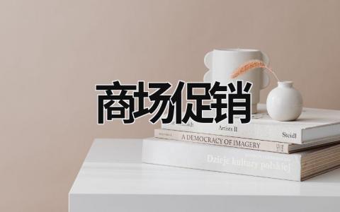 商場促銷 商場促銷現(xiàn)象 (20篇）