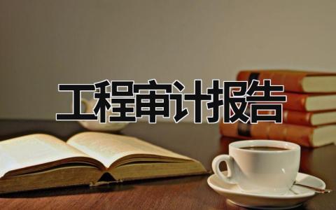 工程審計(jì)報(bào)告 工程審計(jì)報(bào)告出來后發(fā)現(xiàn)問題怎么辦 (17篇）