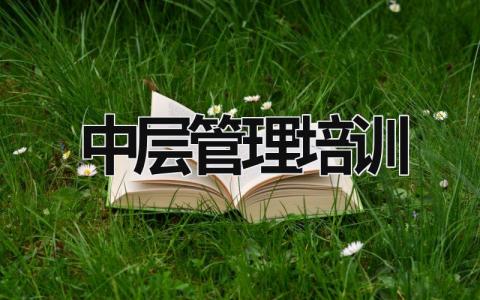 中層管理培訓 中層管理培訓計劃 (20篇）