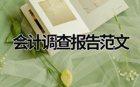 會計調(diào)查報告范文 會計調(diào)查報告范文大全 (17篇）