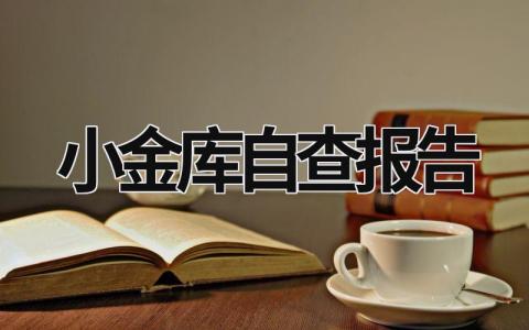 小金庫自查報告 小金庫自查報告 (17篇）