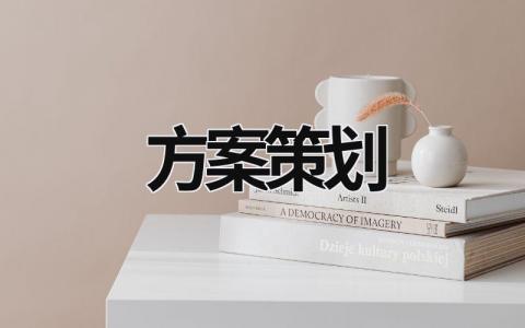 方案策劃 方案策劃和推廣的指標定義 (15篇）