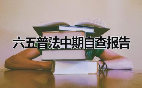 六五普法中期自查報告 六五普法主要任務(wù) (15篇）