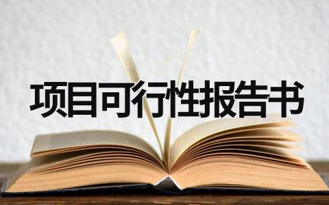 項目可行性報告書 項目可行性報告書 (16篇)