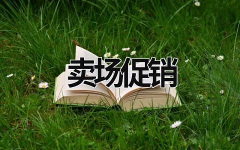 賣場(chǎng)促銷 賣場(chǎng)促銷員 (10篇）