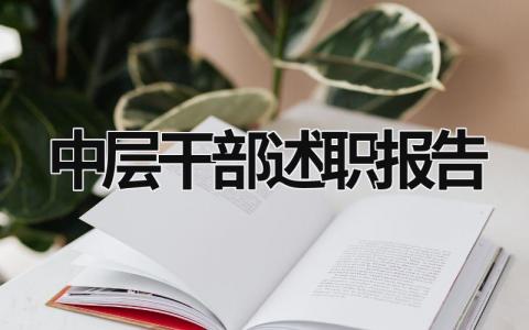 中層干部述職報告 中層干部述職報告ppt (19篇）