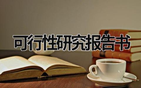 可行性研究報告書 可行性研究報告書范本 (17篇）