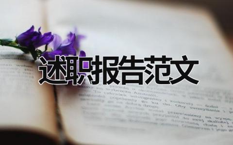 述職報(bào)告范文 述職報(bào)告范文十六篇 (15篇）