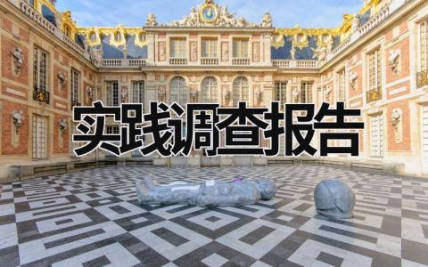 實踐調查報告 實踐調查報告怎么寫 大學生 (17篇）