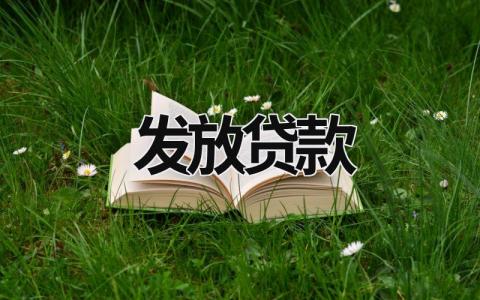 發(fā)放貸款 發(fā)放貸款置換方式是什么 (6篇)