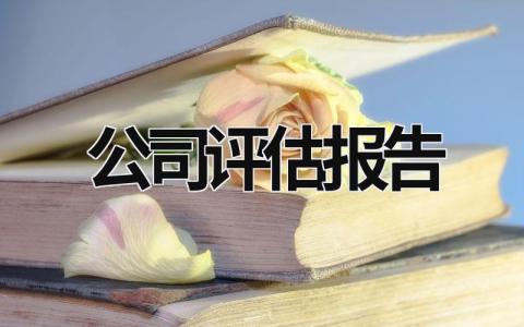 公司評(píng)估報(bào)告 公司評(píng)估報(bào)告是什么 (15篇）