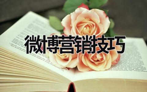 微博營銷技巧 媒體微博的特點及微博營銷技巧 (10篇）