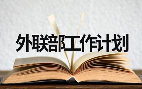 外聯(lián)部工作計(jì)劃 外聯(lián)部工作計(jì)劃和未來(lái)展望 (18篇）