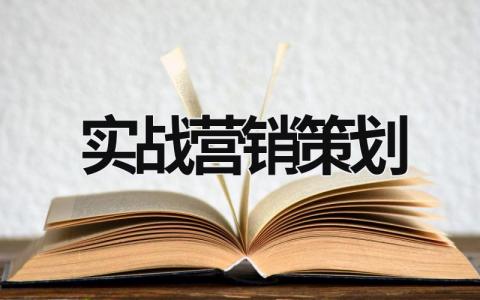 實戰營銷策劃  (15篇）