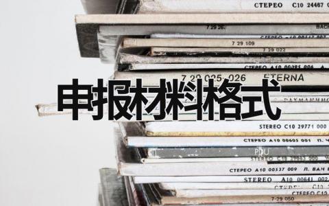 申報材料格式 申報材料格式兩篇范文 (12篇）