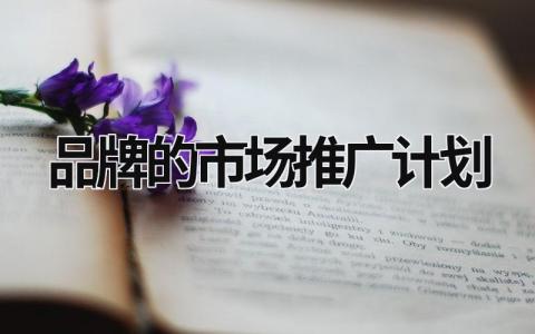 品牌的市場(chǎng)推廣計(jì)劃  (7篇）