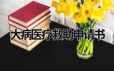 大病醫療救助申請書 大病醫療救助的申請 (11篇）