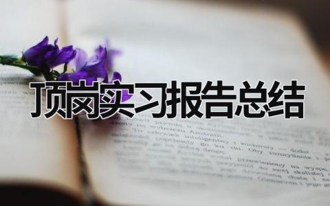 頂崗實習報告總結 頂崗實習報告總結 (21篇）