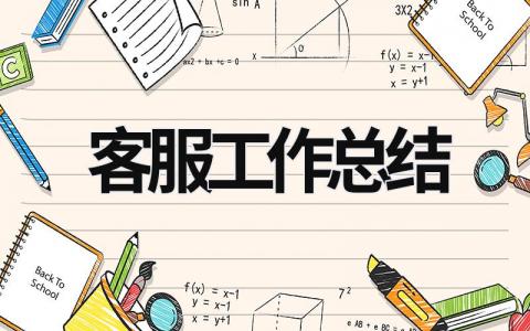 客服工作總結 客服工作總結怎么寫 新人 (19篇）
