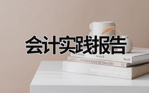 會計實踐報告 會計實踐報告模板及范文3000字 (18篇）