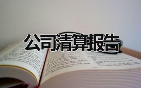 公司清算報告 公司清算報告由誰出? (11篇）