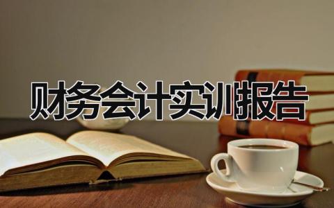 財務會計實訓報告 網中網財務會計實訓報告 (16篇）