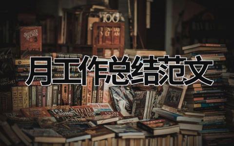 月工作總結范文 社工月工作總結范文 (21篇）