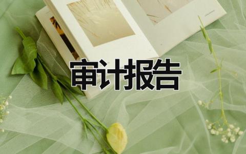 審計(jì)報(bào)告 審計(jì)報(bào)告收費(fèi)標(biāo)準(zhǔn)2023 (20篇）