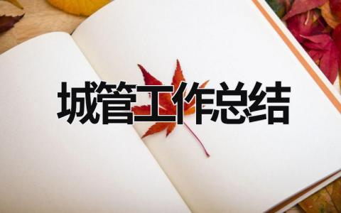 城管工作總結 城管工作總結報告 (17篇）