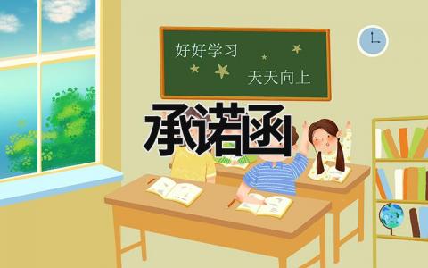 承諾函 承諾函是什么意思 (9篇）