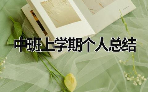 中班上學(xué)期個人總結(jié) 中班上學(xué)期個人總結(jié)班務(wù)工作 (17篇）