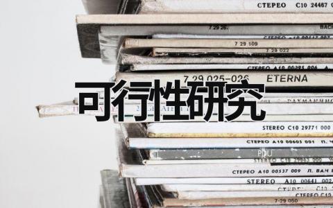 可行性研究 可行性研究報告 (13篇）