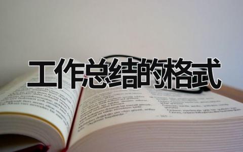 工作總結(jié)的格式 工作總結(jié)的格式字體 (11篇)