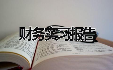 財務實習報告 會計實習報告 (16篇）
