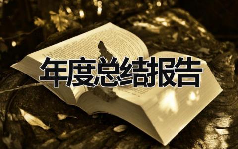 年度總結報告 年度總結報告怎么寫 (15篇）