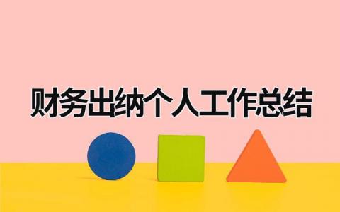 財務出納個人工作總結 財務出納個人工作總結2023 (19篇）