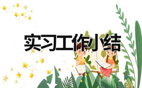 實(shí)習(xí)工作小結(jié) 試用期工作總結(jié) (20篇）