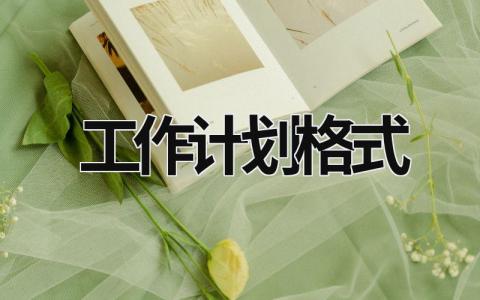 工作計劃格式 工作計劃格式要求 (7篇）