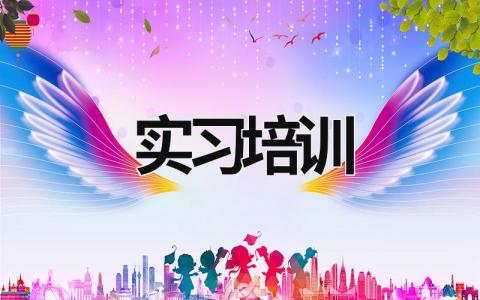 實習培訓  (16篇）