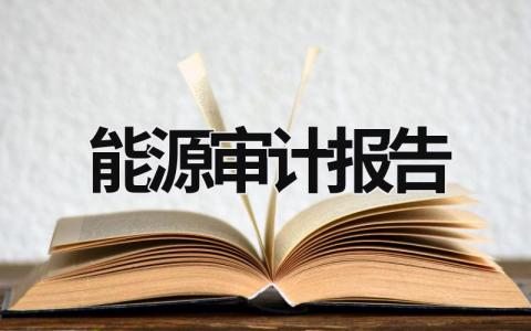 能源審計報告 能源審計報告如何編寫 (11篇）