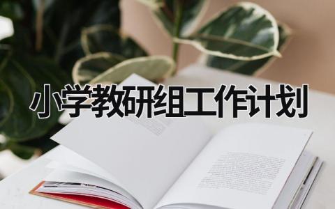 小學(xué)教研組工作計(jì)劃 小學(xué)教研組工作計(jì)劃2023 (21篇）