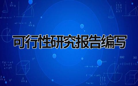 可行性研究報告編寫 可行性研究報告編寫指南 (13篇）