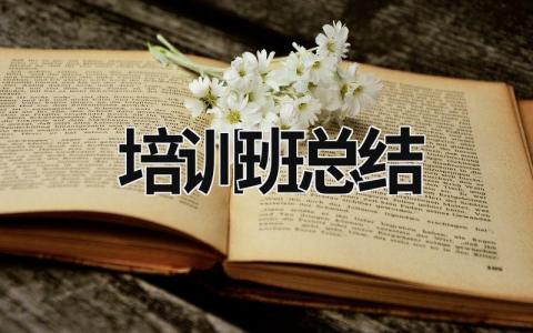 培訓班總結 發展對象培訓班總結 (18篇）