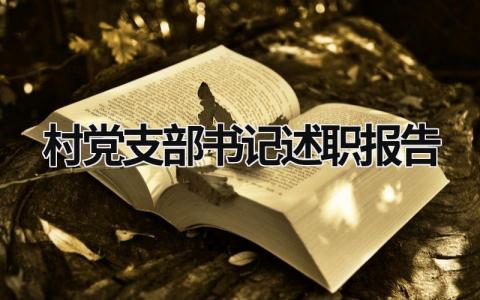 村黨支部書記述職報(bào)告 2023年村黨支部書記述職報(bào)告 (18篇）