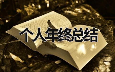 個人年終總結 輔警個人年終總結 (16篇）
