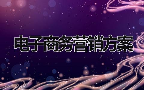 電子商務營銷方案 電子商務營銷方案怎么寫 (15篇）
