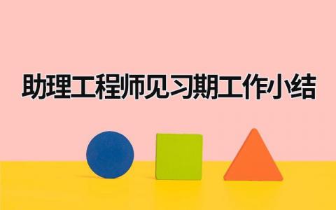 助理工程師見習期工作小結(jié) 助理工程師試用期工作總結(jié) (16篇）